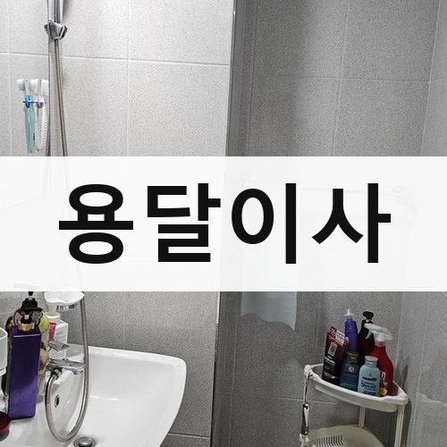 부산 용달이사 포장이사