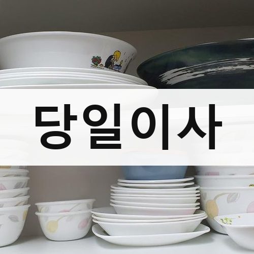 중구 당일이사 상가이사